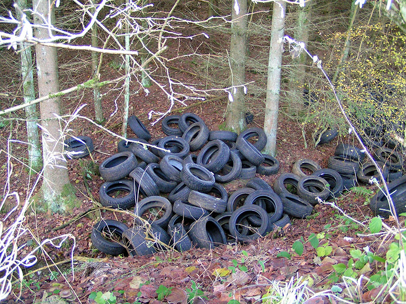Weit mehr als 100 alte Reifen sind im wald bei Holzen illegal entsorgt worden. (Foto: Stadt Arnsberg)