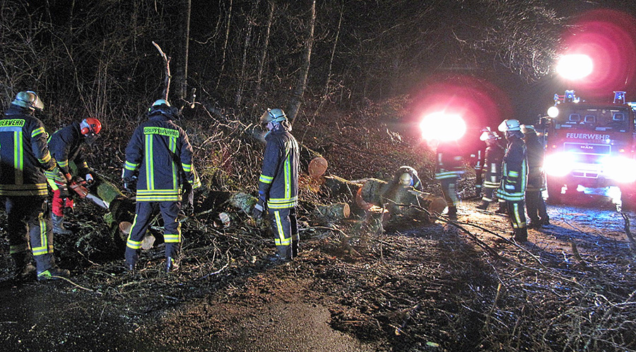 Auf der Landstraße zwischen Arnsberg und Wennigloh beseitigt die Feuerwehr drei große umgestürzte Bäume. (Foto: Feuerwehr Arnsberg)