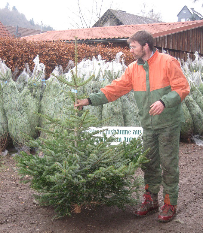 Gregor Kaiser bietet Bio-Weihnachtsbäume zum normalen Preis. (Foto: Wildwald)