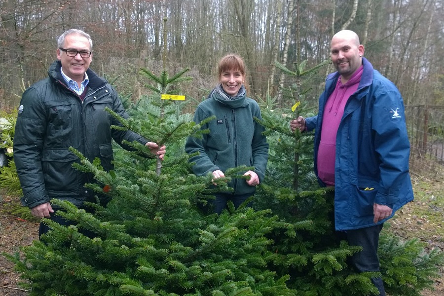 Wildwald-Betriebsleiterin Anneli Noack  übergab zwei Bio-Weihnachtsbäume für die Flüchtlingsunterkunft an Martin Schemm (links) und Christian Lux (rechts). (Foto: Wildwald Voßwinkel)