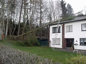 Auch Hausdächer wurden durch umgestürzte Bäume beschädigt. (Foto: Feuerwehr)