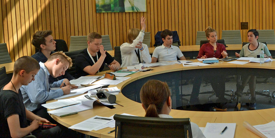 Die Mitglieder des Jugend-Landtags arbeiteten drei Tage lang wie die echten Abgeordneten. (Foto: Grüne)