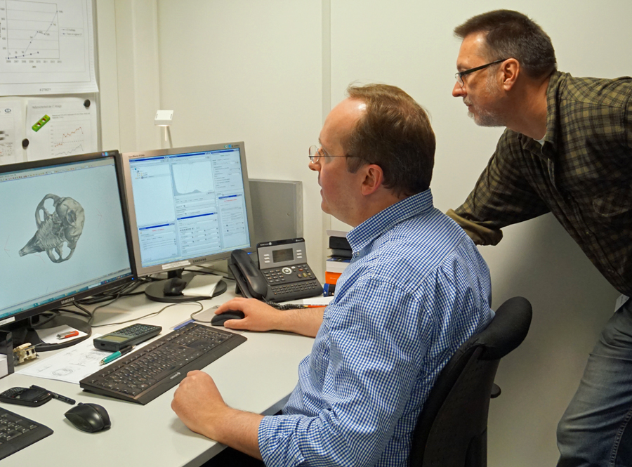 BJB-Mitarbeiter Daniel Tauber (links) und Tierarzt Dr. Stefan Gabriel (rechts) mit der Computertomografie eines Nagerschädels. (Foto: BJB)