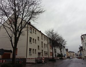 Die zwölf Straßenbäume an der Straße Zur Feldmühle sollen gefällt werden. (Foto: oe)