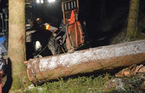 Bei Forstarbeiten wurde ein Mann zwischen Baumstämmen eingeklemmt. (Foto: Feuerwehr)