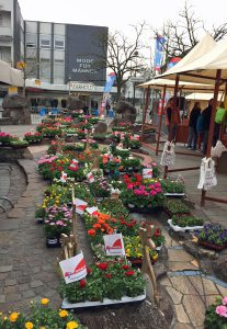 Die Neheimer Oberstadt wird beim Osternest am Bexleyplatz wieder zum Blumenmeer. (Foto: Aktives Neheim)