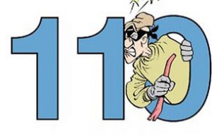 2015.08.02.Logo_.Polizei.110