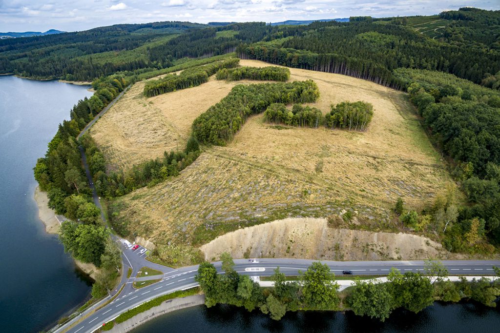 Das Gelände für die Amecker Ferienhausanlage oberhalb des Sorpesees ist abgeholzt. Viel mehr hat sich dort im letzten Jahrzehnt aber nicht getan. (Foto: überflieger.media)